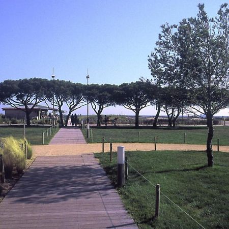 Charmant Appart. 500M Plages Des Sablettes La Seyne-sur-Mer Esterno foto